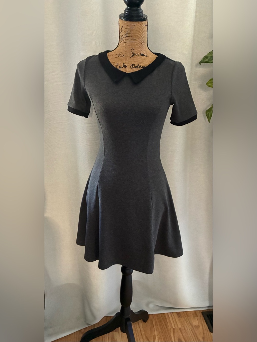 H&M Charcoal Short Sleeve Peter Pan Collar Mini Dress